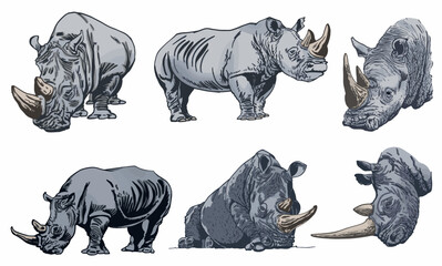 Color big set of rhinoceroses on white isolated, vector illustration,graphical drawing. Stylish print elements, savanna habitant