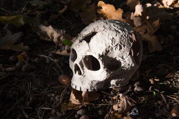 Ceramic skull among autumn foliage