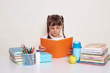 Calm attentive little schoolgirl with pigtails wearing striped shirt sitting at the desk, holding book and reading, being surrounded with books and other school supplies isolated over white 