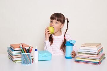 Portrait of hungry little schoolgirl with dark hair and braids sitting at table surrounded with books and biting apple during break, looking at camera, posing isolated over white background.