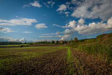 Path and meadow near railway near Rakovnik town