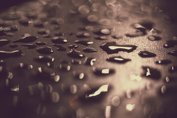 Close-up of water drops 