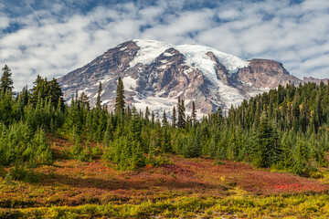 Mt Rainier