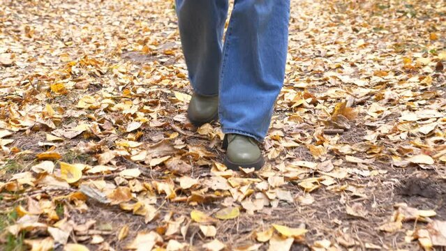 Foliage autumn leaf fall season. Feet walking on the colorful autumn foliage of the forest floor. Slow walking of the feet in the autumn park, falling leaves on the ground.