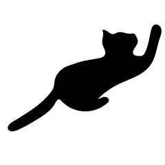Silhouette of a cat, highlighted on a white background. - 533215792