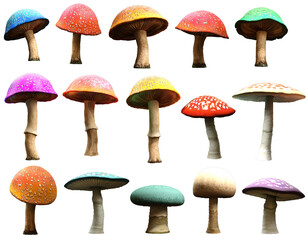 Mushrooms and toadstools 3D illustration	 - obrazy, fototapety, plakaty