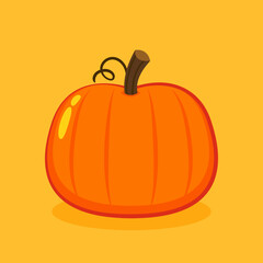 Pumpkin vector. Pumpkin on orange background.