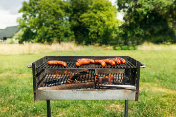Grilled pork sausage on a cast iron grill. Sausages on grill with smoke and flame on grass background, picnic time