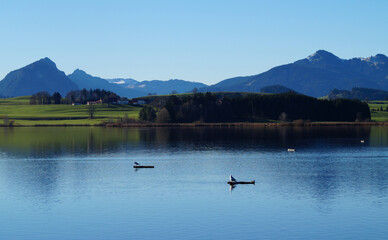 Obraz na płótnie Canvas scenic and serene lake Hopfensee in Schwangau with the Bavarian Alps in the background on a sunny November day (Allgaeu, Bavaria, Germany)