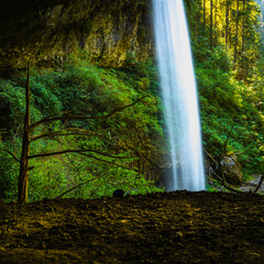 Fototapety na wymiar - Fototapeta24.pl