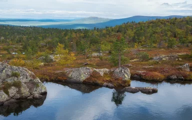 See jenseits des Polarkreises auf einem Hügel im Herbst. © Lana Kray
