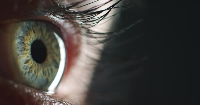 Zoom on eye, vision and cyber security iris for safety, trust and cybersecurity access. Model with texture, face skin and makeup cosmetics on human lashes in blink motion while thinking and planning