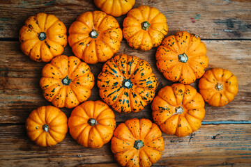 Pumpkins on a wooden rustic background. Yellow autumn harvest pumpkins on the festive table. Fall holidays, halloween, thanksgiving day, food concept.