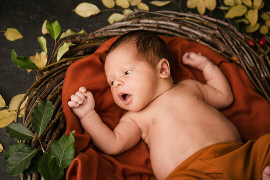 Newborn in a wicker nest