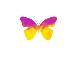 Yellow and Pink Watercolor Butterfly with Transparent Background