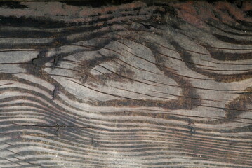 Wet hard wood board background