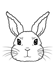 Gesicht niedlicher kleiner Hase 