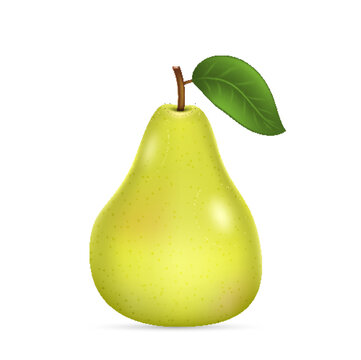 Realistic green pear whole fruit isolated. Organic food, drink product design. Fresh sweet fruit