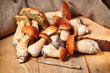 fresh picked porcini mushrooms, Boletus mushroom, ceps on wooden table.