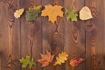 Autumn composition with colored dry leaves lined at the top and bottom of the photo on a rustic wooden background. Flat lay, copy space.