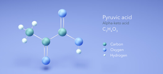 pyruvic acid, molecular structures, alpha-keto acid, 3d model, Structural Chemical Formula and Atoms with Color Coding