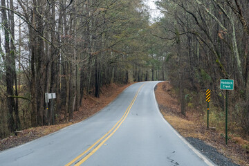 Fototapeta premium road in the woods