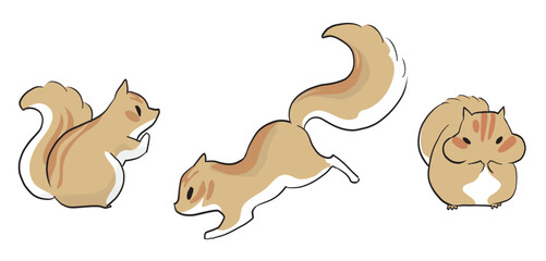 かわいい3匹のりす © tedybee