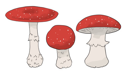 3本のベニテングタケ