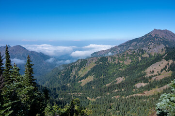 Fototapeta na wymiar Clouds filling valley during cloud inversion seen from Hurricane Ridge in Olympic National Park, Washington on sunny autumn afternoon.