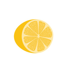 Half cut fresh yellow lemon on white background. Vector illustration