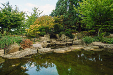 Fototapeta na wymiar Japanese garden in Hamburg - japanese maples and big stones