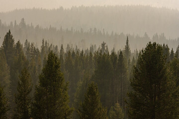 Smoke Fills The Air Showing Layers Of Forest