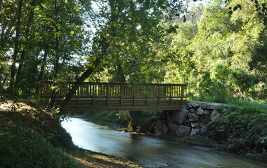 Fototapeta na wymiar Bosque com árvores, rio e ponte de madeira, trilho de montanha, caminhadas