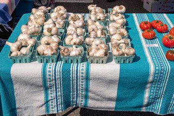 Garlic For Sale