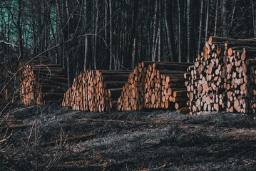 stack of firewood
