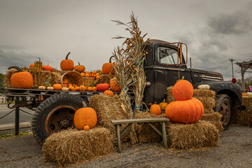 Antique truck decorated for fall festival