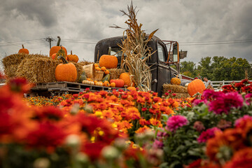 Antique truck decorated for fall festival