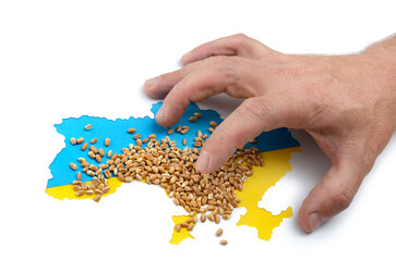 Ukrainian grain on blue-yellow flag under threat of occupation. Global food crisis concept due to war - obrazy, fototapety, plakaty