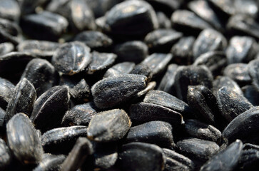 Texture of ripe sunflower seeds close up