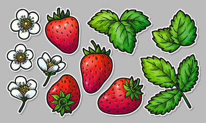 Strawberry hand drawn elements sticker set. Realistic whole red berries leaves and flowers. Healthy fresh sweet food. Cartoon craft farmers market patches for card print, badge pins, scrapbooking tag