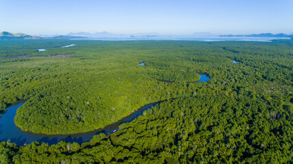 The Guapimirim protected area preserves the largest mangrove swamp in Latin America and helps maintain the biodiversity and life of Guanara Bay, the postcard of Rio de Janeiro
