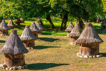 Fototapete bei efototapeten.de bestellen   