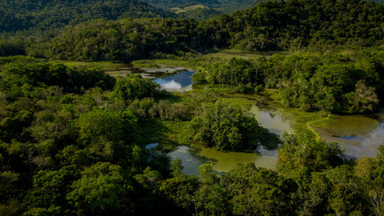 Fototapeta na wymiar The exuberant Atlantic Forest within the protected area of the Guapiaçu Ecological Reserve, in the metropolitan region of Rio de Janeiro.