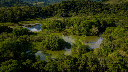Fototapeta na wymiar The exuberant Atlantic Forest within the protected area of the Guapiaçu Ecological Reserve, in the metropolitan region of Rio de Janeiro.