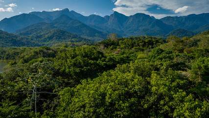 The exuberant Atlantic Forest within the protected area of the Guapiaçu Ecological Reserve, in the metropolitan region of Rio de Janeiro.