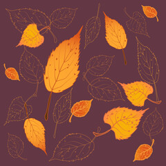 Autumn Vector Pattern with Yellow Leaves
