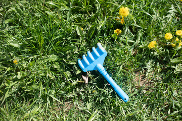 Children's rake on grass. Child's forgotten toy.