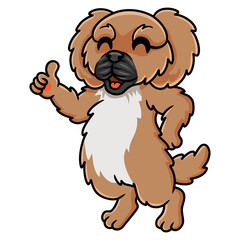 Cute little pekingese dog cartoon giving thumb up