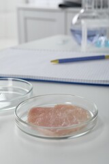 Petri dish with piece of raw cultured meat on white table in laboratory, space for text