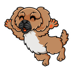 Cute little pekingese dog cartoon